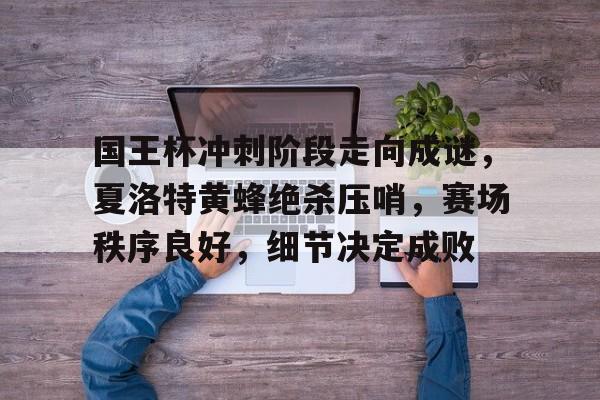 开云体育官网-国王杯冲刺阶段走向成谜，夏洛特黄蜂绝杀压哨，赛场秩序良好，细节决定成败(西班牙国王杯哪里直播)